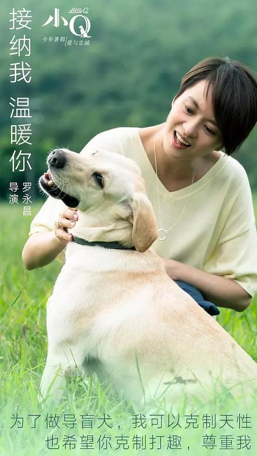 达姆施塔特应用技术大学 Market Development Diploma